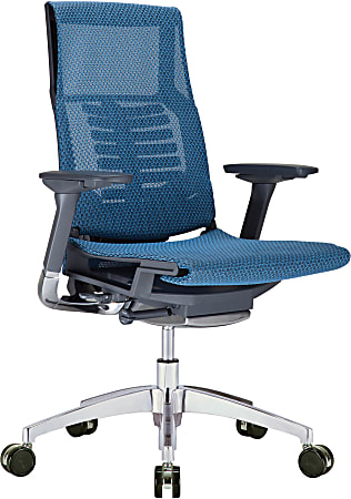 Raynor® Powerfit Ergonomic Mesh Mid-Back Executive Chair, Blue/Black
