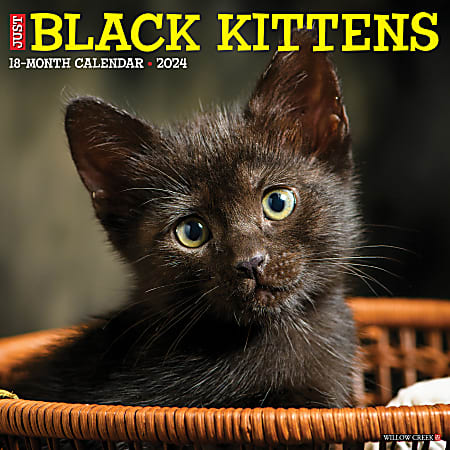 2024 Willow Creek Press Animals Monthly Wall Calendar, 12" x 12", Just Black Kittens, January To December
