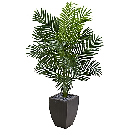 Nearly Natural Paradise Palm 66”H Artificial Tree With Planter, 66”H x 38”W x 26”D, Green/Black