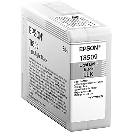 Epson UltraChrome HD T850 Original Ink Cartridge, Light Black, T850900