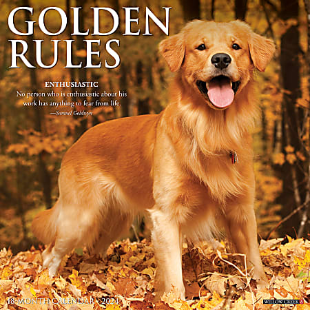 2024 Willow Creek Press Animals Monthly Wall Calendar, 12" x 12", Golden Rules, January To December