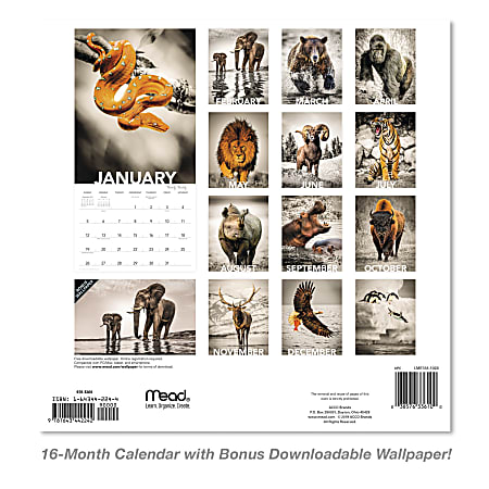 Mead "2021 Someecards Pets Wall Calendar, 12"" X 12"", Monthly (DDW34428)" : Buy Online At Best Price In KSA - Souq Is Now - View #7