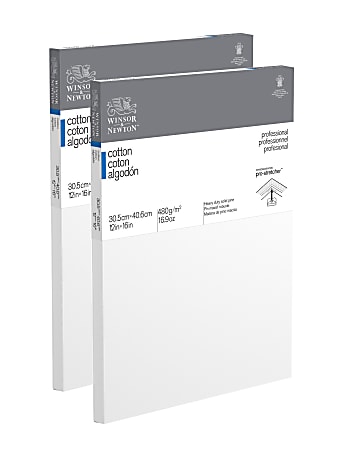 Winsor & Newton Professional Cotton-Stretched Traditional Canvases, 16" x 12", White, Pack Of 2