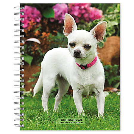 2023-2024 BrownTrout 16-Month Weekly/Monthly Engagement Planner, 7-3/4" x 7-3/16", Chihuahuas, September To December