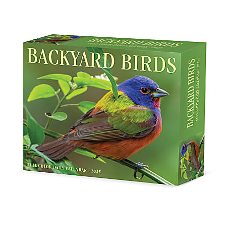 2025 Willow Creek Press Daily Desk Box Calendar, Animals, 5-1/2” x 6-1/4", Backyard Birds, January To December, 40614