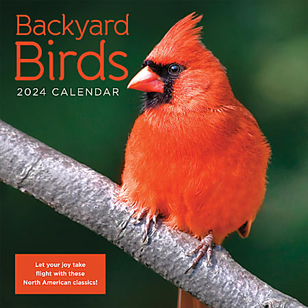 2024 TF Publishing Animal Wall Calendar, 12" x 12", Backyard Birds, January To December
