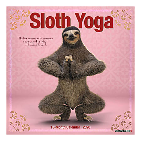 These sloth yogis are in no rush to complete their 2020 yoga sequence, often taking an entire month just to complete a single pose. Sloth Yoga takes this popular meditative practice to a new level of zen.