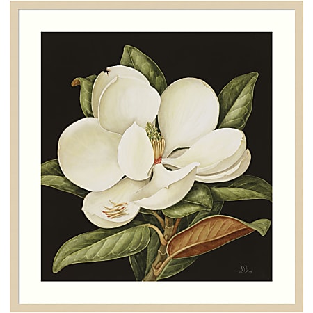 Amanti Art Magnolia Grandiflora 2003 by Jenny Barron Wood Framed Wall Art Print, 31”W x 33”H, Natural