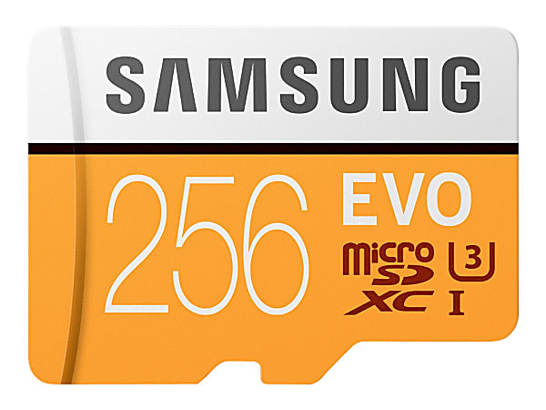 Samsung EVO 256 GB Class 10 microSDXC - 100 MB/s Read - 90 MB/s Write