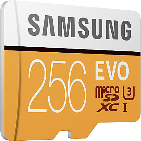 Samsung EVO 256 GB Class 10 microSDXC - 100 MB/s Read - 90 MB/s Write