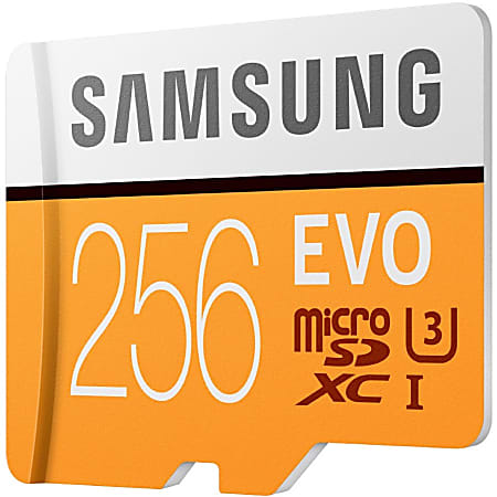 Evo 256gb top