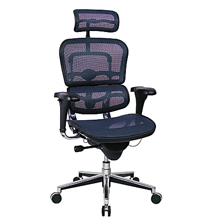 Raynor ergohuman high back mesh chair hotsell