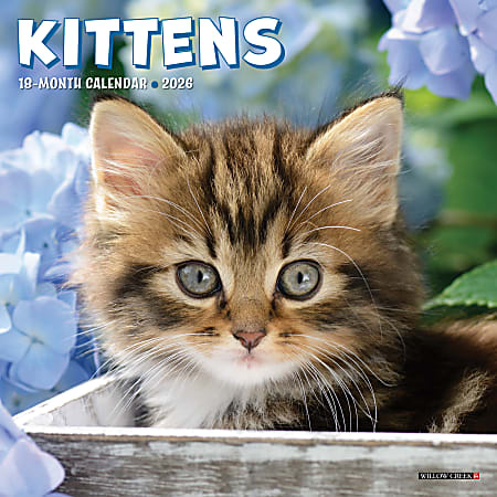 2026 Willow Creek Press Monthly Mini Wall Calendar, 7" x 7", Kittens, January To December, 53638