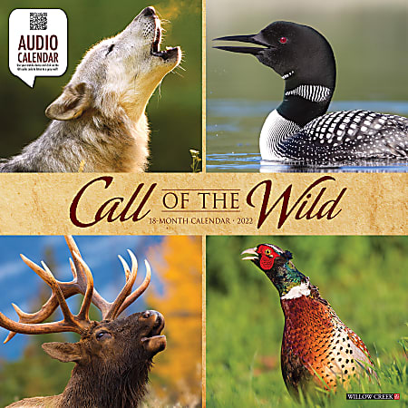 Willow Creek Press Animals Monthly Wall Calendar, 12" x 12", Call of the Wild, January to December 2022, 17289
