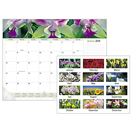 AT-A-GLANCE® Visual Organizer Floral Panoramic Monthly Desk Pad Calendar, 22" x 17", 30% Recycled, January To December 2018 (8905-18)