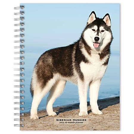 2023-2024 BrownTrout 16-Month Weekly/Monthly Engagement Planner, 7-3/4" x 7-3/16", Siberian Huskies, September To December