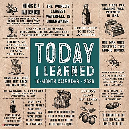 2026 Willow Creek Press Humor & Comics Monthly Wall Calendar, 12" x 12", Today I Learned, January To December, 52976