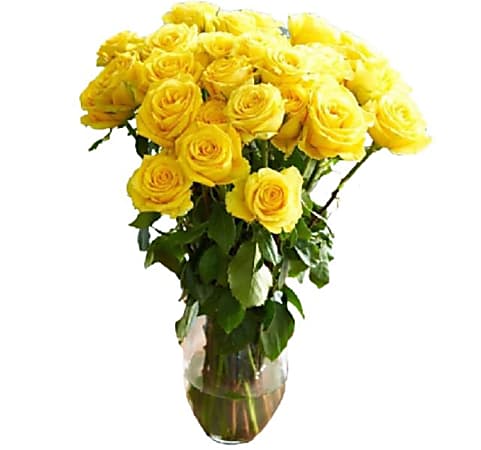 Rose Farmers Yellow Bright Long Stem Roses, Yellow, Box Of 48 Roses