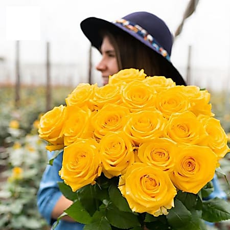 Rose Farmers Yellow Bright Long Stem Roses, Yellow, Box Of 48 Roses