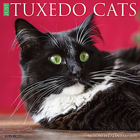 Willow Creek Press Animals Monthly Wall Calendar, 12" x 12", Just Tuxedo Cats, January to December 2022, 19870