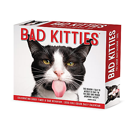 2025 Willow Creek Press Daily Desk Box Calendar, Animals, 5-1/2” x 6-1/4", Bad Kitties, January To December, 40638