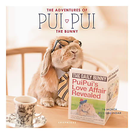 Graphique Animals Monthly Wall Calendar, 12" x 12", The Adventures Of PuiPui, January To December 2021