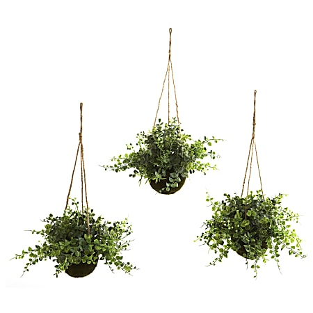 Nearly Natural Eucalyptus, Maiden Hair & Berry Artificial 9”H Plants With Hanging Baskets, 9”H x 12”W x 12”D, Green, Set Of 3