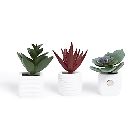 U Brands® Succulent Locker Magnets, 2-3/8” x 1-5/8”, Multicolor, Set Of 3 Magnets