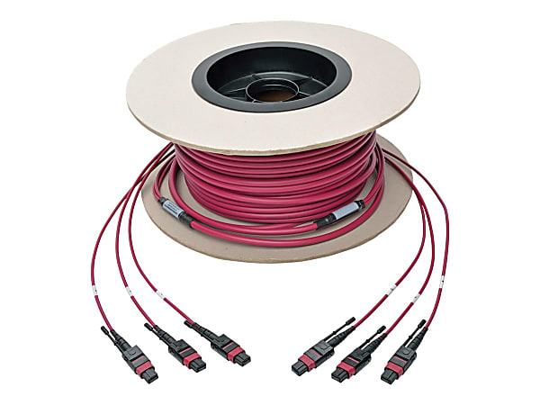 Tripp Lite MTP/MPO Multimode Base-8 Trunk Cable 24-Strand