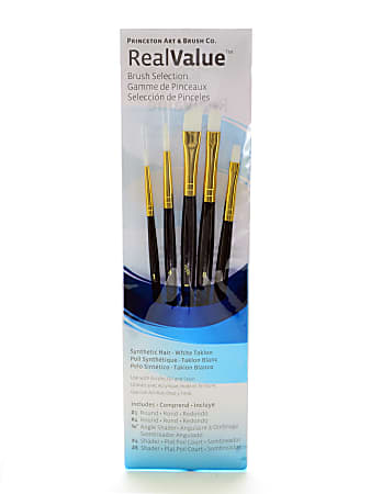 Princeton Real Value Series 9000 Brush Set, 9136, Assorted Bristles, Synthetic, Set Of 5, Blue