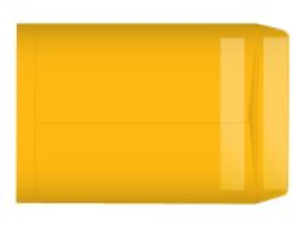 Quality Park® Redi-Seal™ Catalog Envelopes, 9" x 12", Kraft, Box Of 100