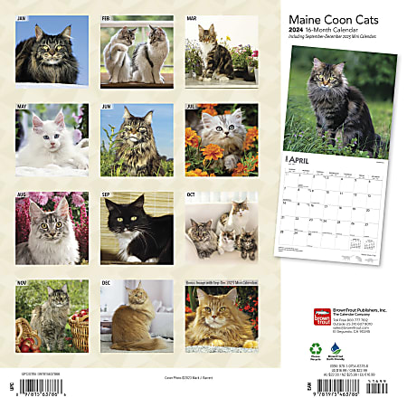 2024 BrownTrout Monthly Square Wall Calendar, 12