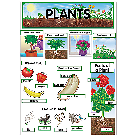 Creative Teaching Press® Mini Bulletin Board Set, Plants, Grades K-2