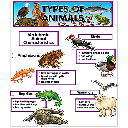 Creative Teaching Press® Mini Bulletin Board Set, Types Of Animals, Grades K-4