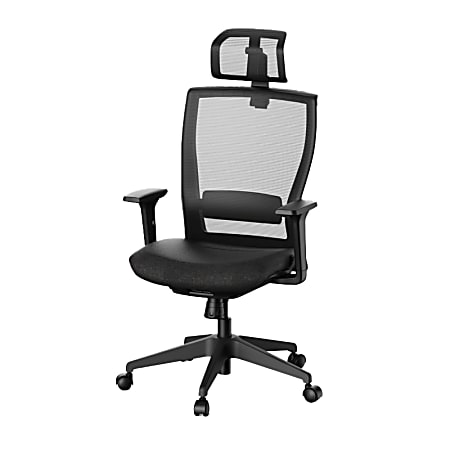 FlexiSpot C4B Ergonomic Mesh High-Back Office Chair, Black