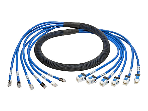 Tripp Lite 6ft Augmented Cat6 Cat6a Pre-Terminated Copper trunk Bundle 6xRJ45 M/F 6' - First End: 6 x RJ-45 Male Network - Second End: 6 x RJ-45 Female Network - 10 Gbit/s - Patch Cable - Gold Plated Contact - 23 AWG - Blue