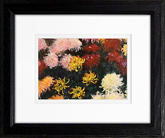 Timeless Frames Supreme & Addison Framed Floral Artwork, 8" x 10", Black, Chrysanthemum 1897 