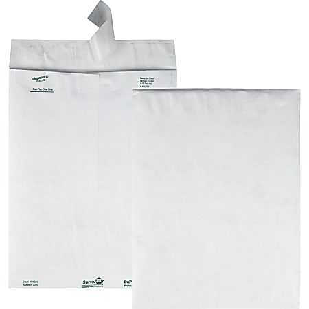 Quality Park Tyvek® Envelopes, Catalog, 9 1/2" x 12 1/2", White, Box Of 100