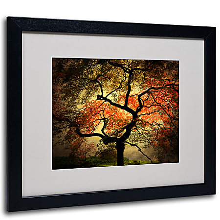Trademark Global Japanese Matted Framed Canvas Print By Philippe Sainte-Laudy, 16"H x 20"W