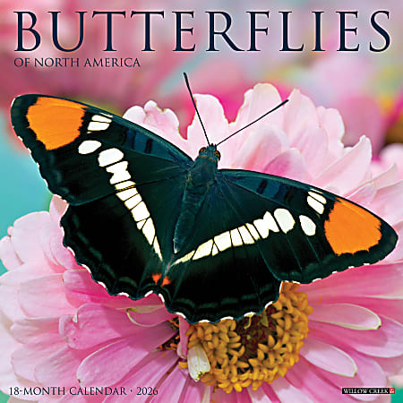 2026 Willow Creek Press Animals Monthly Wall Calendar, 12" x 12", Butterflies, January To December, 50453