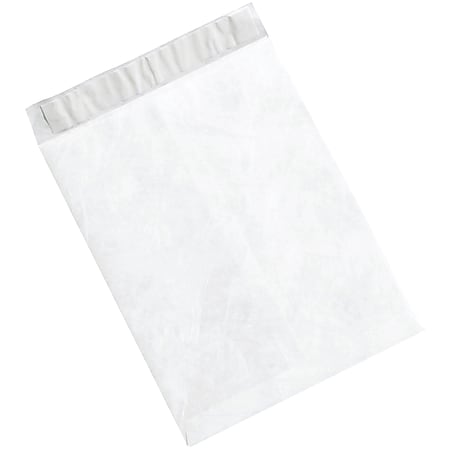 Tyvek® Flat Envelopes, 9 1/2" x 12 1/2", White, Case Of 100