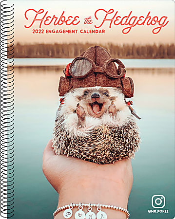 Willow Creek Press Weekly Engagement Calendar, 6-1/2" x 8-1/2", Herbee the Hedgehog, January to December 2022, 21422