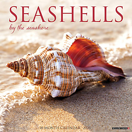 2025 Willow Creek Press Wall Calendar, 12” x 12”, Seashells, January 2025 To December 2025, 44797