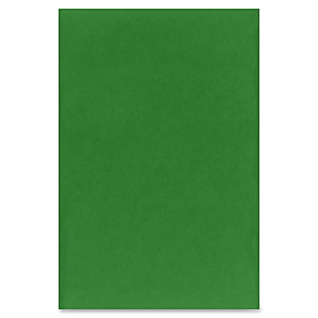 Riverside Groundwood Construction Paper 100percent Recycled 9 x 12