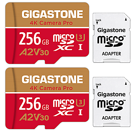 Dane-Elec Gigastone 4K Class10 U3 A2 V30 Camera Pro MicroSDXC Cards, 256GB, Pack Of 2 Cards