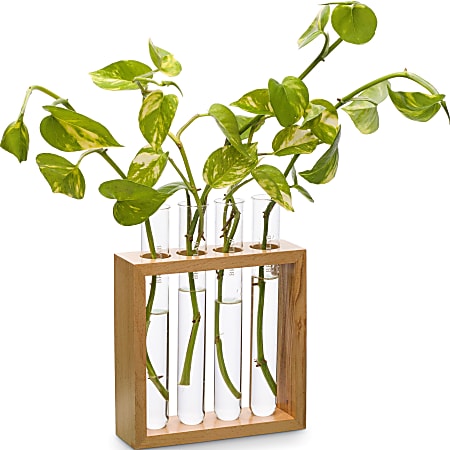 Supertek Square Plant Holder ClearBrown - Office Depot