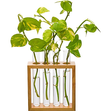 Supertek Square Plant Holder ClearBrown - Office Depot