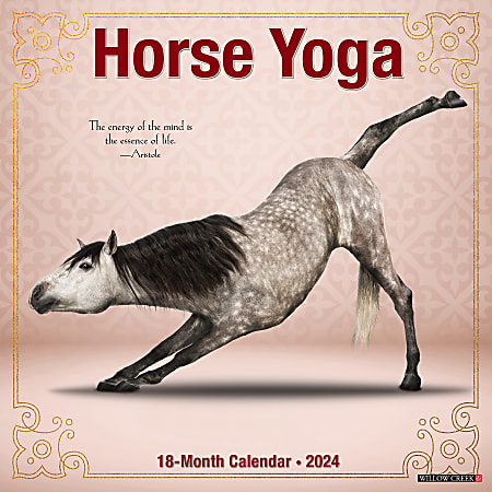 2024 Willow Creek Press Animals Monthly Wall Calendar, 12" x 12", Horse Yoga, January To December