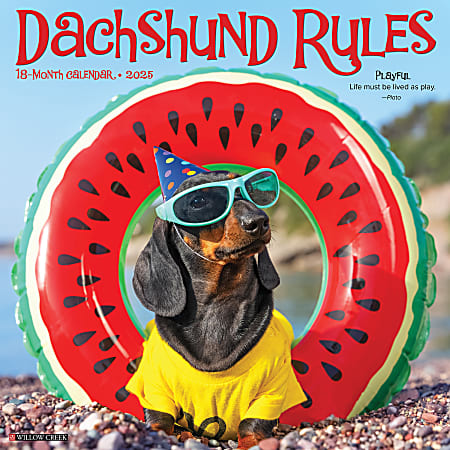 2025 Willow Creek Press Monthly Wall Calendar, 12” x 12”, Dachshund Rules, January 2025 To December 2025, 42656