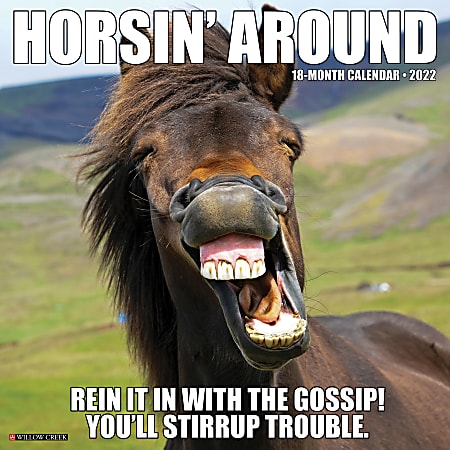 Willow Creek Press Animals Monthly Wall Calendar, 12&quot; x 12&quot;, Horsin&#x27; Around, January to December 2022, 18385